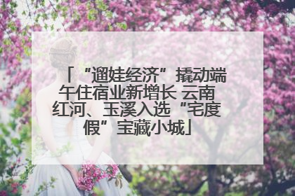 “遛娃经济”撬动端午住宿业新增长 云南红河、玉溪入选“宅度假”宝藏小城
