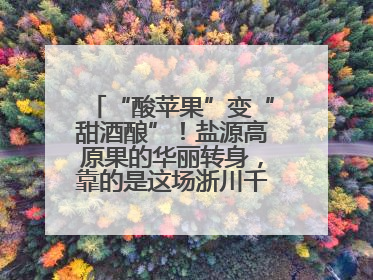 “酸苹果”变“甜酒酿”！盐源高原果的华丽转身，靠的是这场浙川千里“联姻”