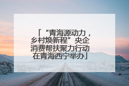 “青海源动力，乡村焕新程”央企消费帮扶聚力行动在青海西宁举办