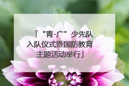 “青-广”少先队入队仪式暨国防教育主题活动举行