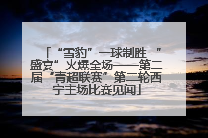 “雪豹”一球制胜 “盛宴”火爆全场——第二届“青超联赛”第二轮西宁主场比赛见闻