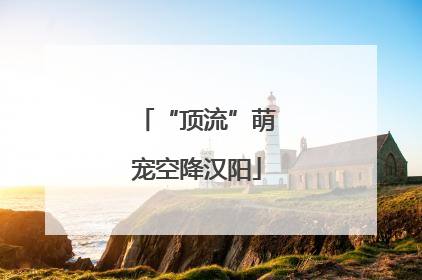 “顶流”萌宠空降汉阳