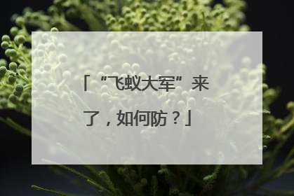 “飞蚁大军”来了，如何防？