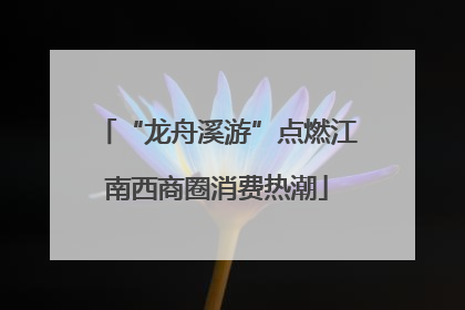 “龙舟溪游”点燃江南西商圈消费热潮