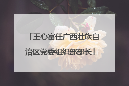 王心富任广西壮族自治区党委组织部部长