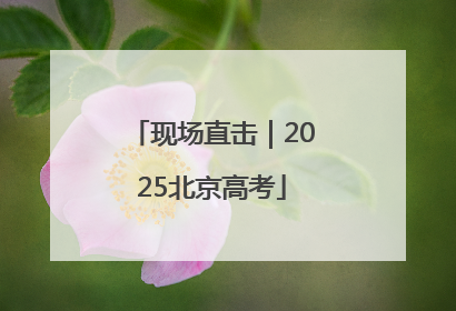 现场直击｜2025北京高考