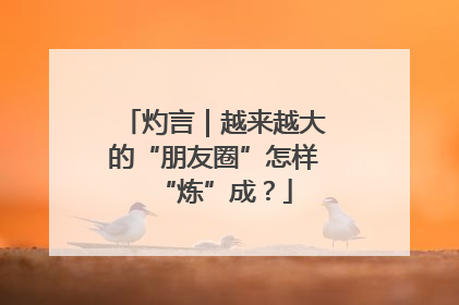灼言｜越来越大的“朋友圈”怎样“炼”成？