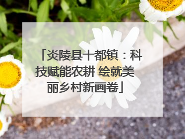 炎陵县十都镇：科技赋能农耕 绘就美丽乡村新画卷