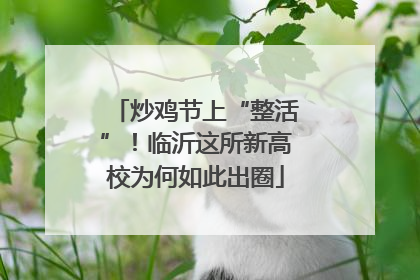 炒鸡节上“整活”！临沂这所新高校为何如此出圈
