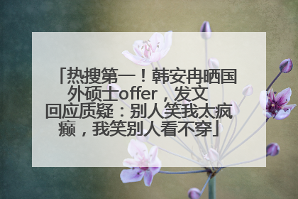 热搜第一！韩安冉晒国外硕士offer，发文回应质疑：别人笑我太疯癫，我笑别人看不穿