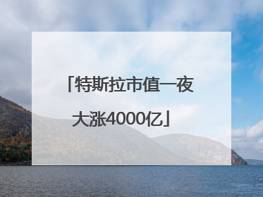 特斯拉市值一夜大涨4000亿