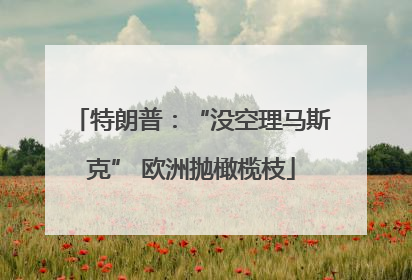 特朗普：“没空理马斯克” 欧洲抛橄榄枝
