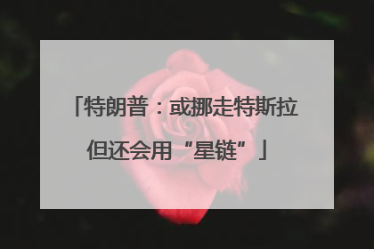 特朗普：或挪走特斯拉 但还会用“星链”