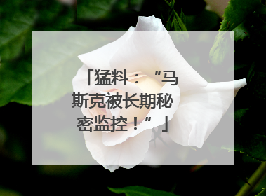 猛料：“马斯克被长期秘密监控！”