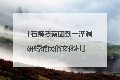石狮考察团到丰泽调研蟳埔民俗文化村