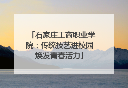 石家庄工商职业学院：传统技艺进校园焕发青春活力