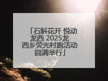 石斛花开 悦动龙西 2025龙西乡荧光村跑活动圆满举行