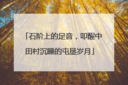 石阶上的足音，叩醒中田村沉睡的屯垦岁月
