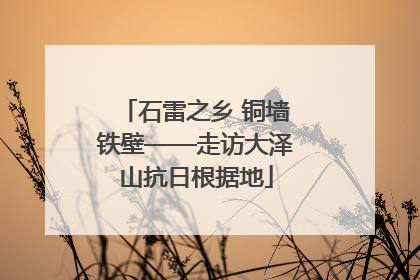石雷之乡 铜墙铁壁——走访大泽山抗日根据地