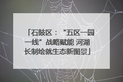 石鼓区：“五区一园一线”战略赋能 河湖长制绘就生态新图景