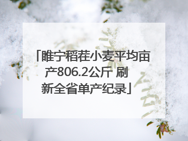 睢宁稻茬小麦平均亩产806.2公斤 刷新全省单产纪录