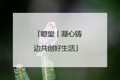瞭望丨凝心铸边共创好生活