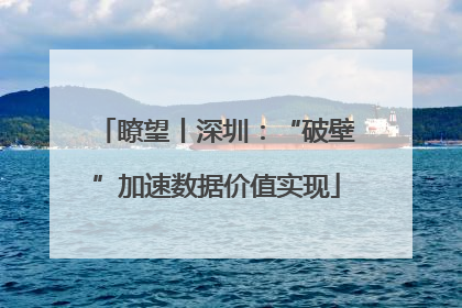 瞭望丨深圳：“破壁”加速数据价值实现