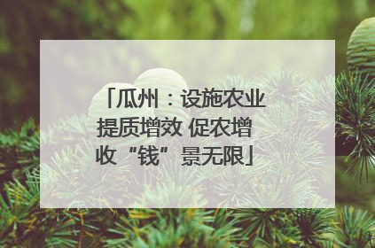 瓜州：设施农业提质增效 促农增收“钱”景无限