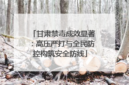 甘肃禁毒成效显著：高压严打与全民防控构筑安全防线