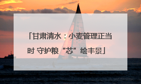 甘肃清水：小麦管理正当时 守护粮“芯”绘丰景