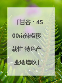 甘谷:4500亩辣椒移栽忙 特色产业助增收