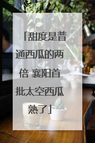 甜度是普通西瓜的两倍 襄阳首批太空西瓜熟了
