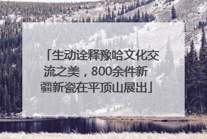 生动诠释豫哈文化交流之美，800余件新疆新瓷在平顶山展出