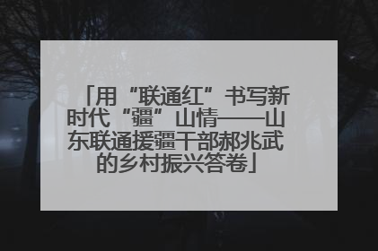 用“联通红”书写新时代“疆”山情——山东联通援疆干部郝兆武的乡村振兴答卷