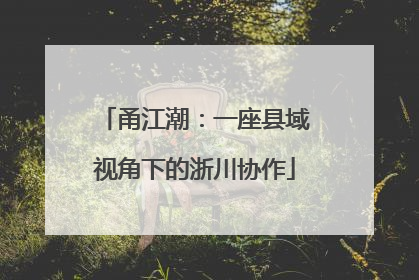 甬江潮：一座县域视角下的浙川协作