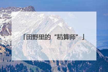 田野里的“精算师”
