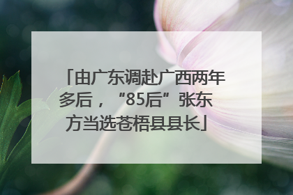 由广东调赴广西两年多后，“85后”张东方当选苍梧县县长