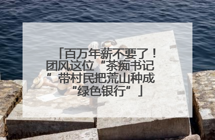 百万年薪不要了！团风这位“茶痴书记”带村民把荒山种成“绿色银行”