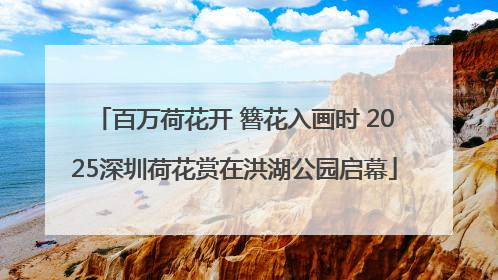 百万荷花开 簪花入画时 2025深圳荷花赏在洪湖公园启幕
