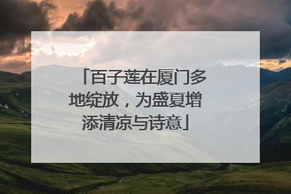 百子莲在厦门多地绽放，为盛夏增添清凉与诗意