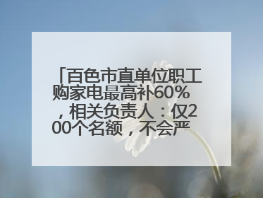 百色市直单位职工购家电最高补60％，相关负责人：仅200个名额，不会严格筛查身份