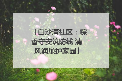 白沙湾社区：粽香守安筑防线 清风润廉护家园