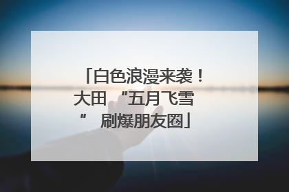 白色浪漫来袭！大田 “五月飞雪” 刷爆朋友圈