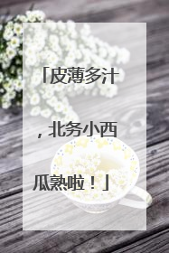 皮薄多汁，北务小西瓜熟啦！
