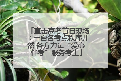 直击高考首日现场：丰台各考点秩序井然 各方力量“爱心伴考”服务考生