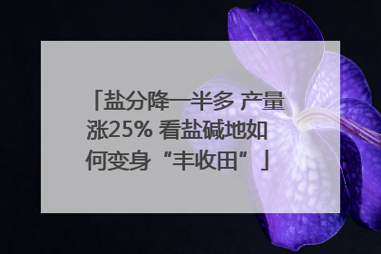 盐分降一半多 产量涨25% 看盐碱地如何变身“丰收田”