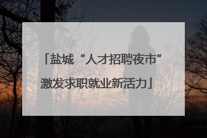 盐城“人才招聘夜市”激发求职就业新活力