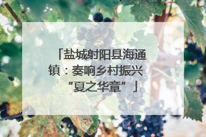 盐城射阳县海通镇：奏响乡村振兴“夏之华章”