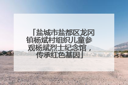 盐城市盐都区龙冈镇杨斌村组织儿童参观杨斌烈士纪念馆，传承红色基因