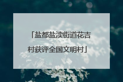 盐都盐渎街道花吉村获评全国文明村